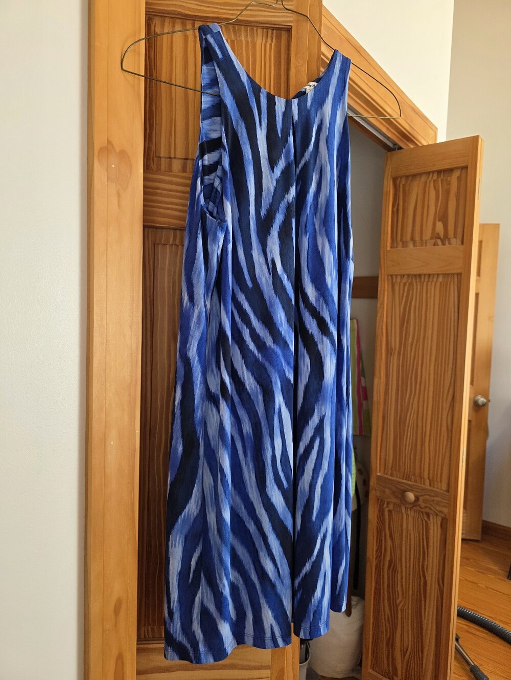 Blue Zebra-Print Sleeveless Women’s Dress